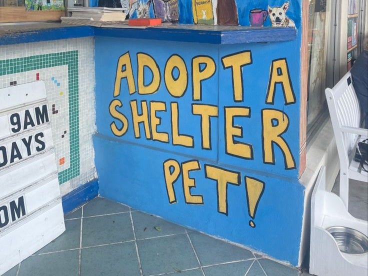This may contain: there is a sign that says adopt a shelter pet on the side of a building