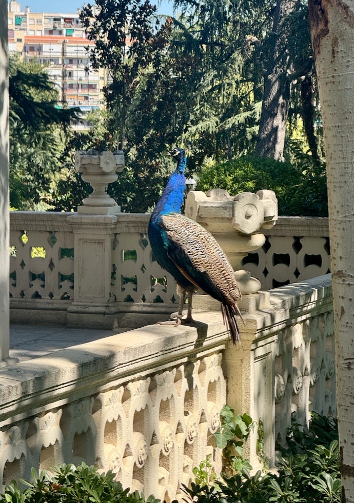 Capture d’écran 2026-03-15 à 16.58.46.png Capture d’écran 2026-03-15 à 16.58.46.png