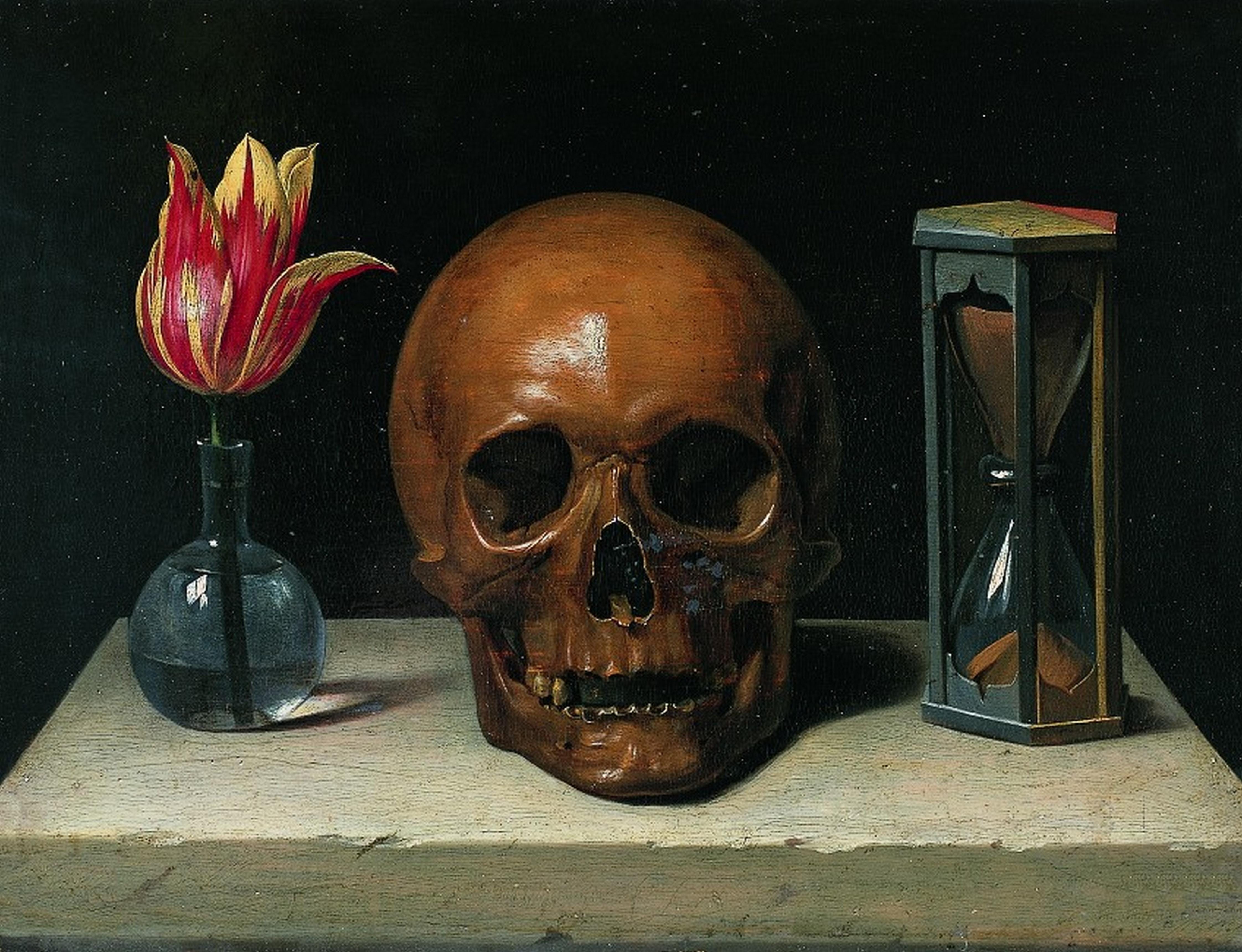 File:StillLifeWithASkull.jpg - Wikimedia Commons File:StillLifeWithASkull.jpg - Wikimedia Commons