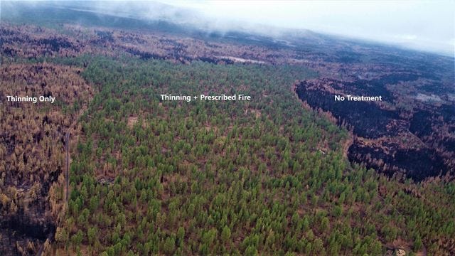 Aerial view shows the differences in tree mortality after the Bootleg Fire resulting from different types of forest restoration. Aerial view shows the differences in tree mortality after the Bootleg Fire resulting from different types of forest restoration.