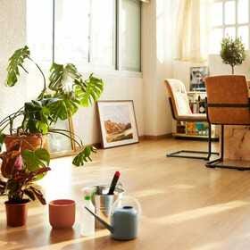 Indoor plants, AirPods, and snacks are the most popular perks for startup employees right now