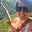 Susan Aigotti's avatar
