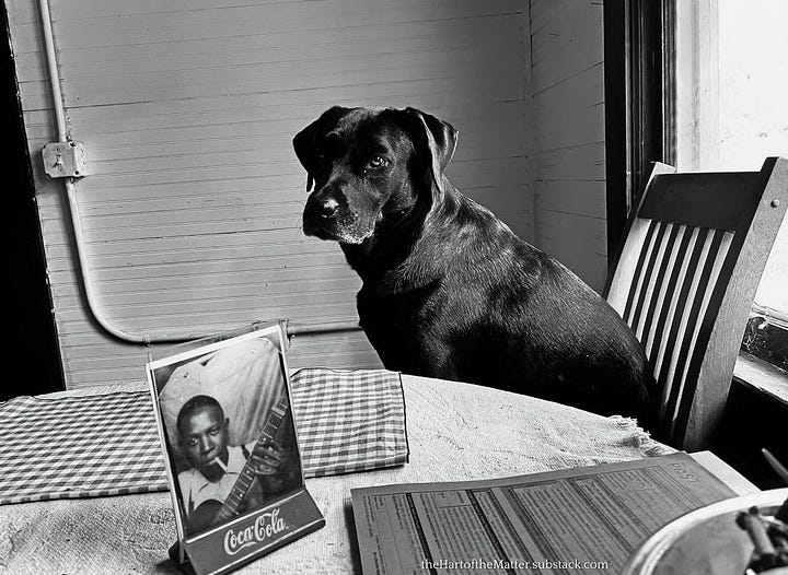 two photos of a sweet black dog named Bark Raven