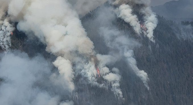 Aerial view of large, smoking wildfire with some orange flames seen in the forest.