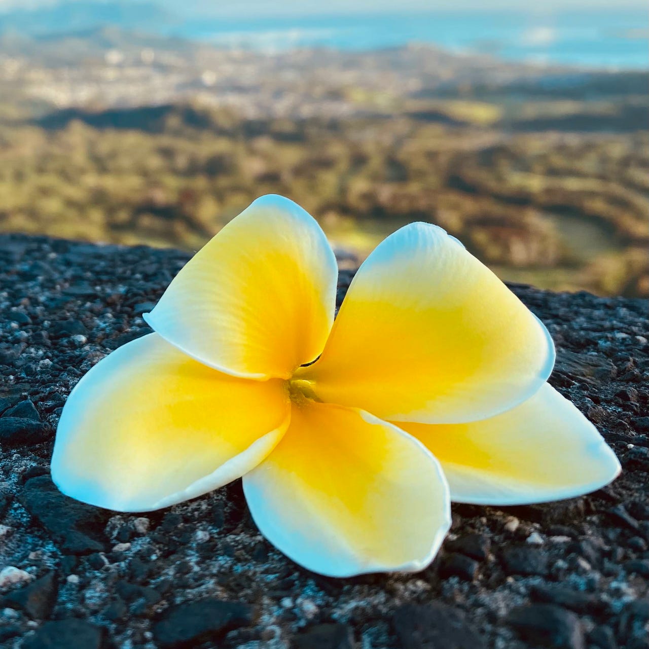 Artwork for Make the New World