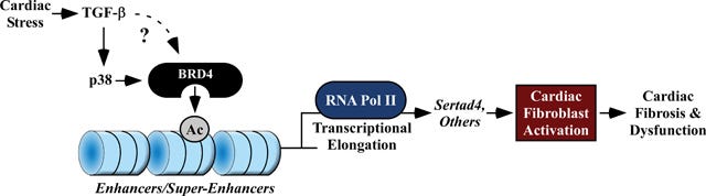 An external file that holds a picture, illustration, etc.
Object name is nihms-1537451-f0023.jpg