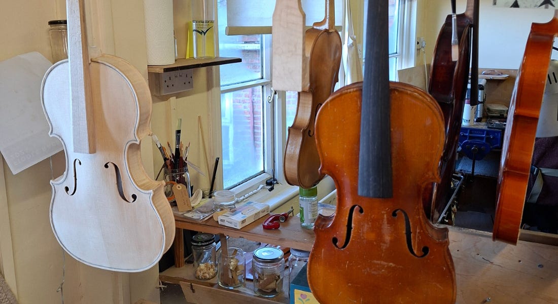 A cluster of violins hanging from a ceiling, with cream walls and tables around them A cluster of violins hanging from a ceiling, with cream walls and tables around them