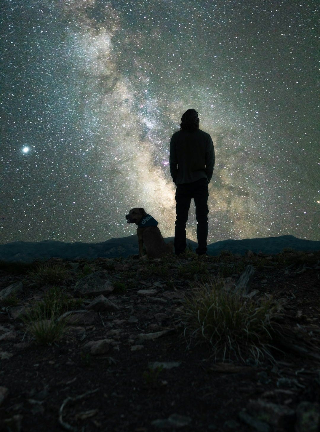 silhouette of man and dog standing on rock during night time