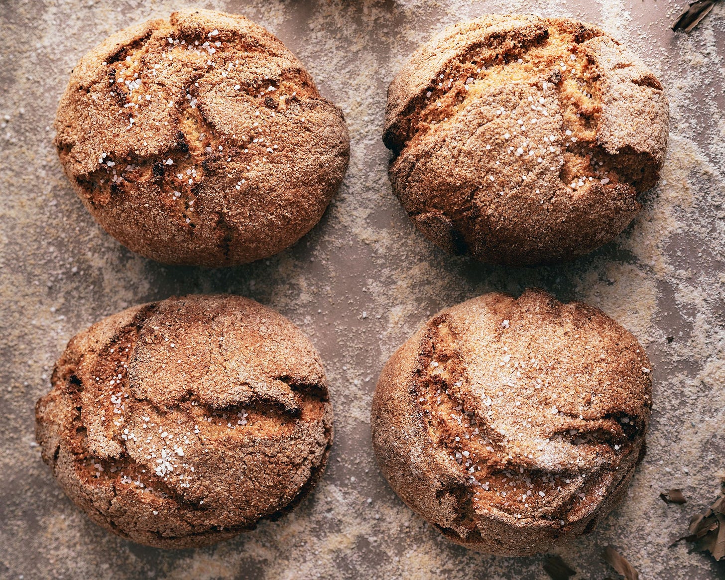 Joseph's Organic Bakery - Ancient Grain Breads