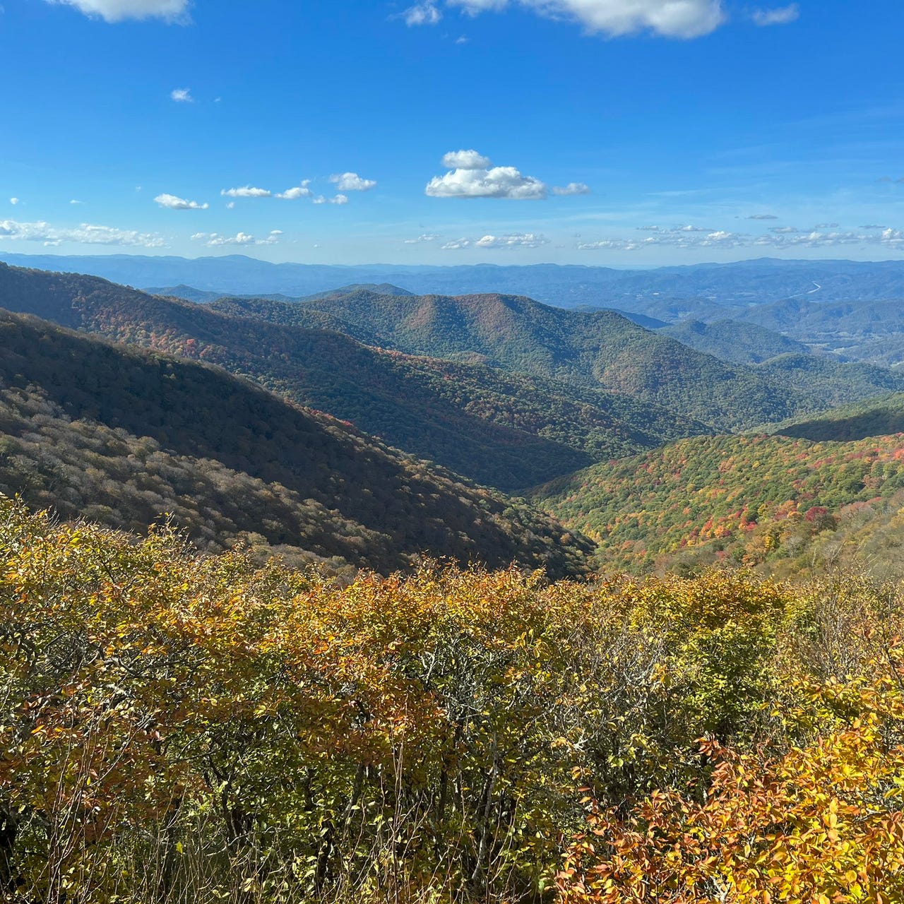 Blue Ridge Viewpoint