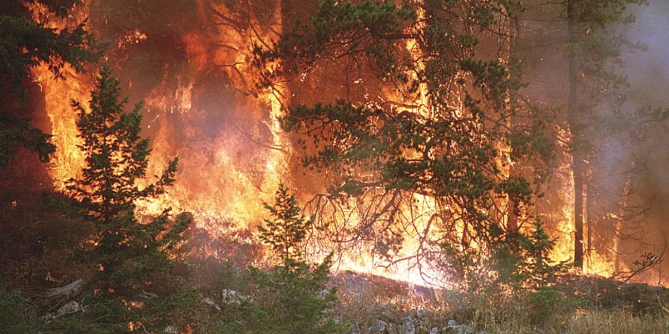 The U.S. Needs More Wildland Firefighters, But the Federal Government Keeps Losing Them