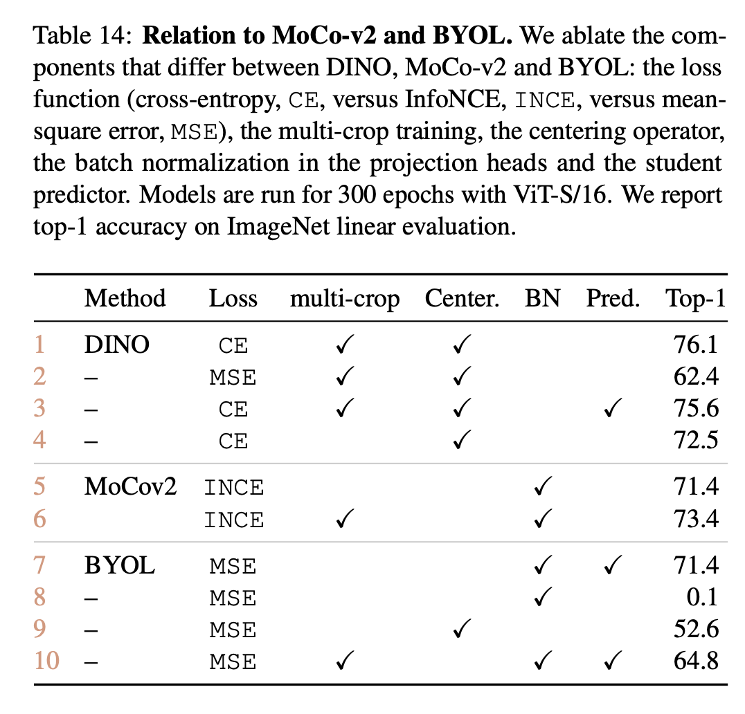 DINO Explained: How Self-Supervised Learning Unlocked Vision Transformers
