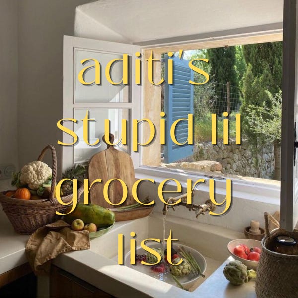 aditi's stupid lil grocery list