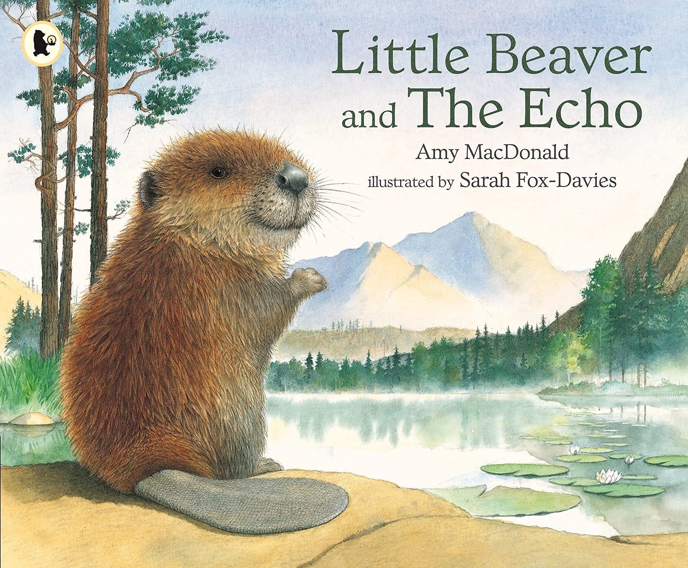 Little Beaver and the Echo: Amazon.co.uk: MacDonald, Amy, Fox-Davies,  Sarah: 9780744523157: Books