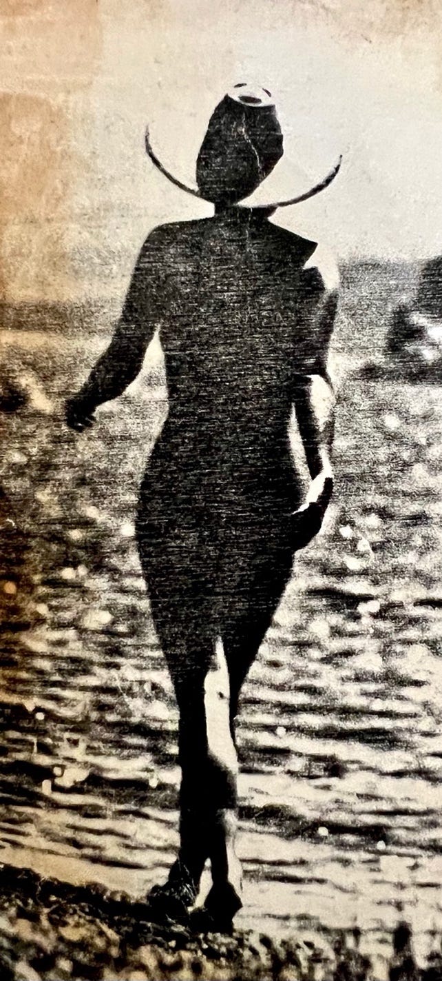 A person walking on the beach

Description automatically generated