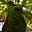 Dineth Wijendra's avatar