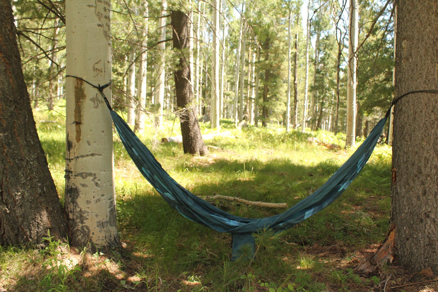 a hammock set up between two trees
