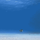 You Make Me Feel. Tabs, Jan. 2, 2026