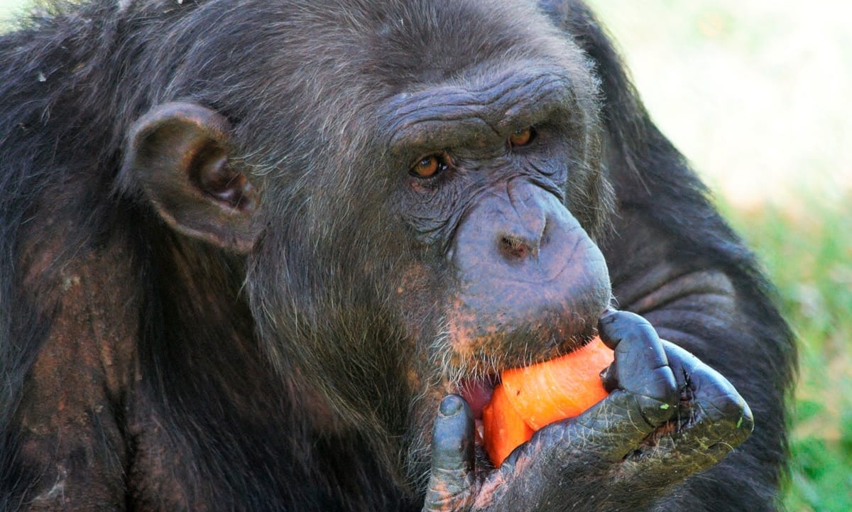 Batallitas de cuando creé una marca de ropa para crossfiteros Batallitas de cuando creé una marca de ropa para crossfiteros