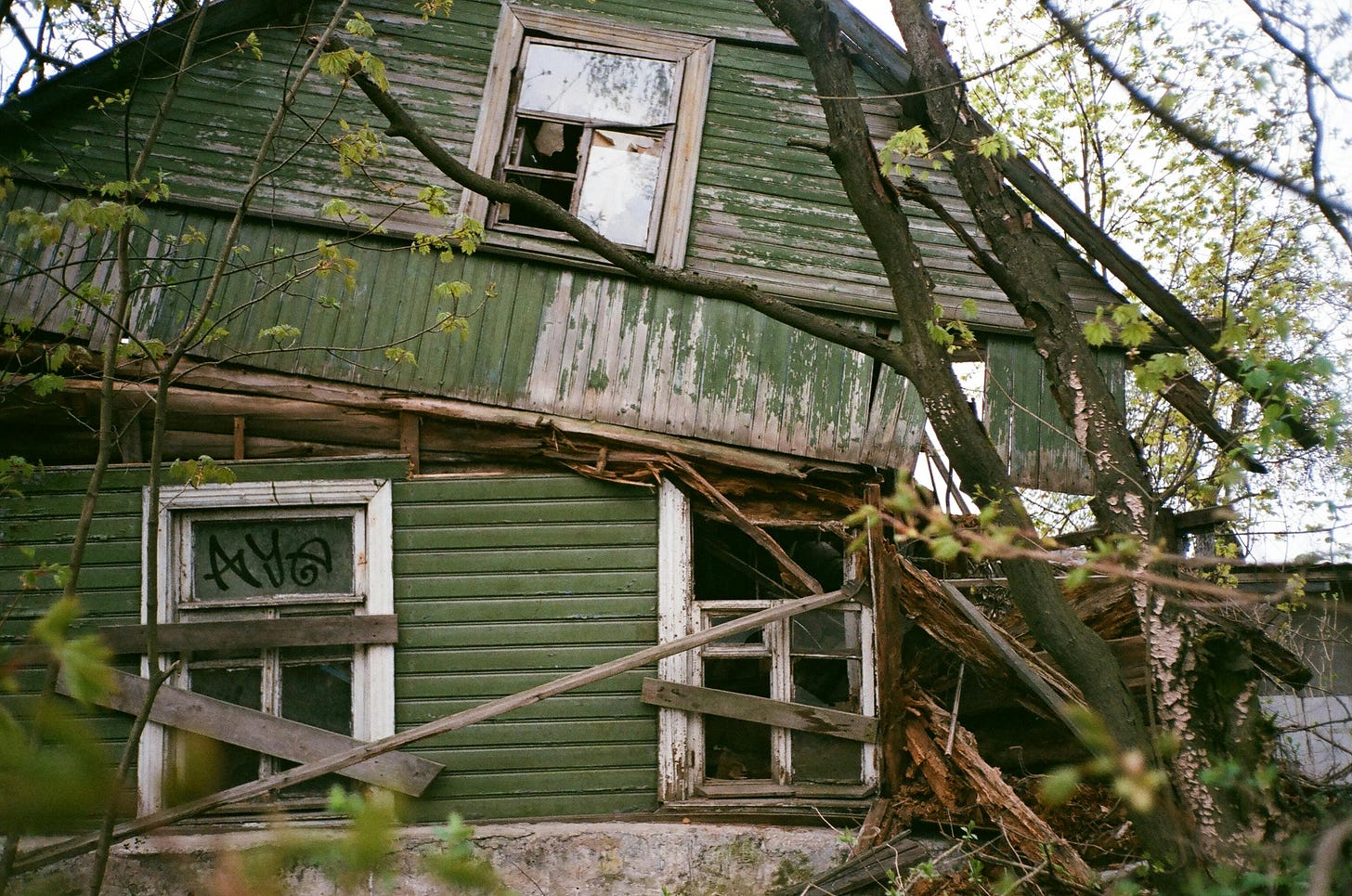A weathered green wooden house with broken windows and collapsed walls stands partially overtaken by trees and foliage, capturing decay, abandonment, and the quiet reclaiming power of nature.