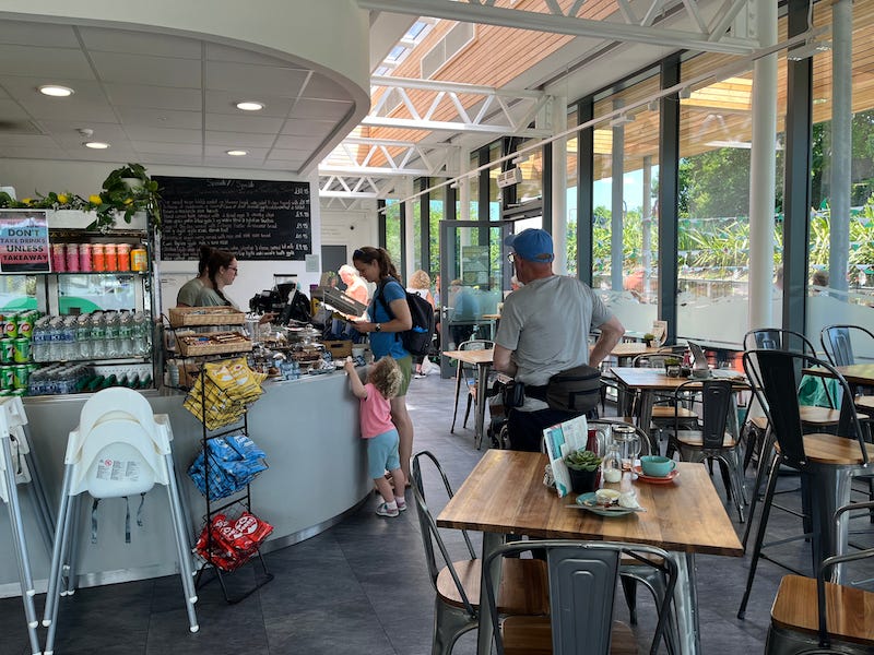 2025-6-19 Lunch at the library in Conwy, Wales by Susan Corbin