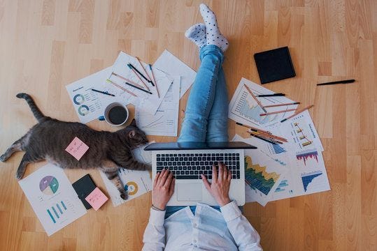 creative home work space - work from home concept - girl with cat creative home work space - work from home concept - girl with cat