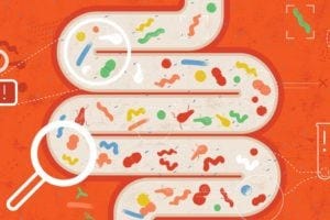gut microbes illustration
