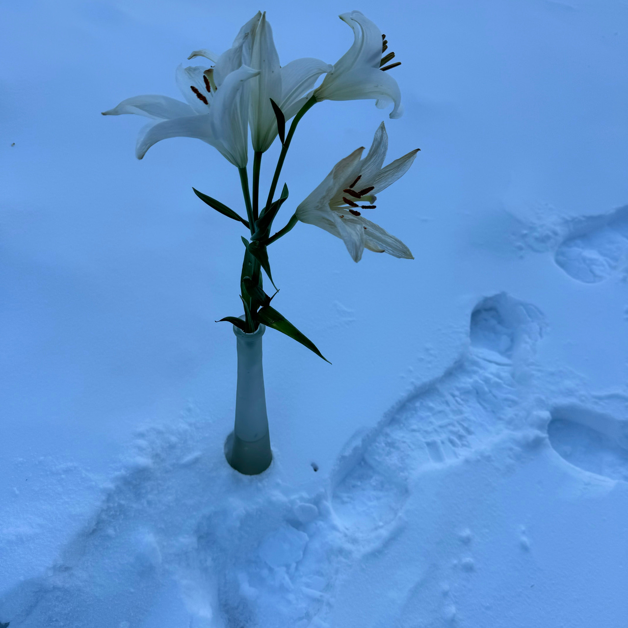 I Wanted To Tell You