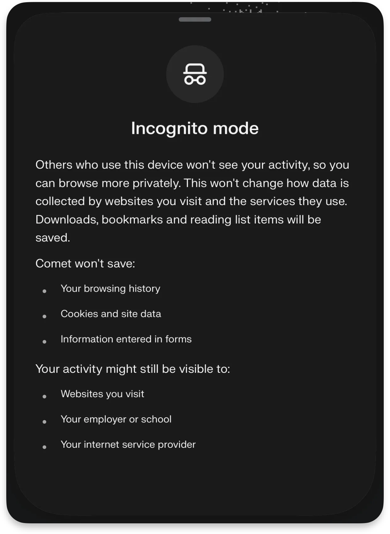 Perplexity Comet incognito mode screen explaining privacy limitations, data visibility, and what browsing activity is still tracked by websites and providers