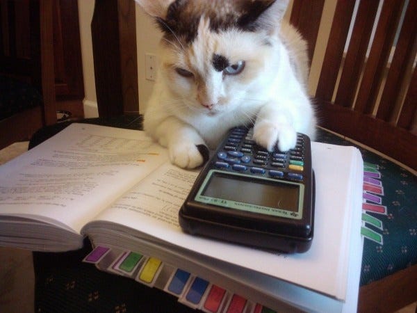 Dogs eat homework - Cats do the math!