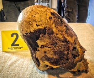 the-paracas-elongated-skulls-dr-aaron-judkins-substack