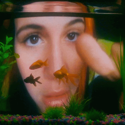 Girl tapping a goldfish bowl GIF