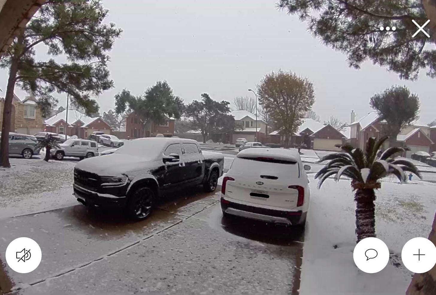 A neighborhood with snow covering parked cars in driveways