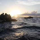 Back on the Net: The CxFile in 2026