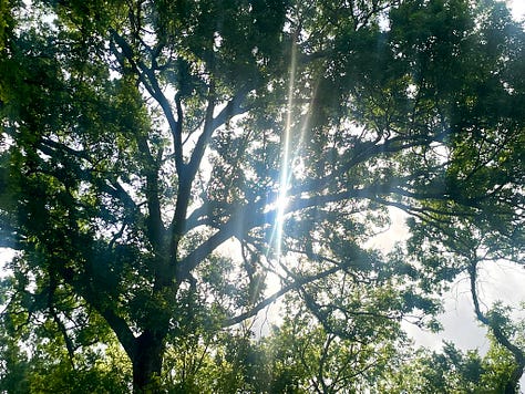 Photos of Tommy & Michelle setting up for worship, the sun shining through the trees, and Sherry sharing a devotional.