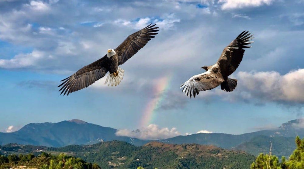 The eagle and the condor prophecy - Kundalini Yoga School