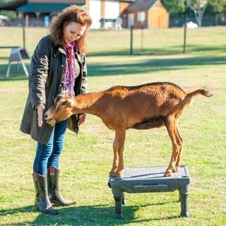 Frania Shelley-Grielen, Animal Behaviorist, M.A.