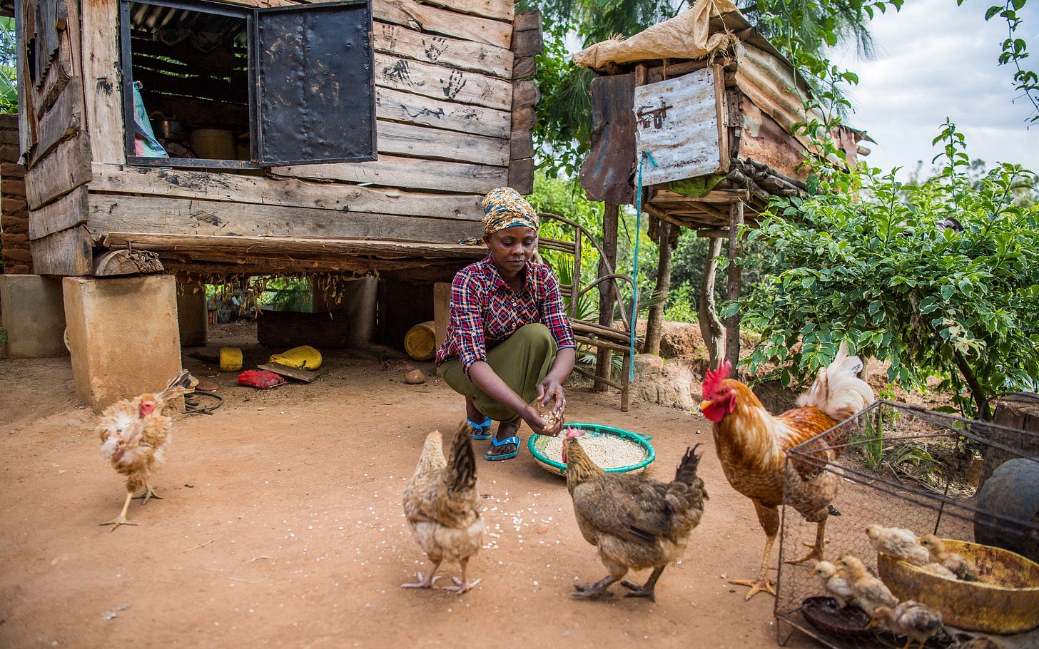 Gates notes image Gates notes image