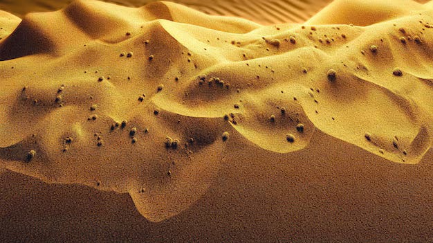 Sand-Beach-FreePik.com et LinkedIn-Hervé Bommelaer