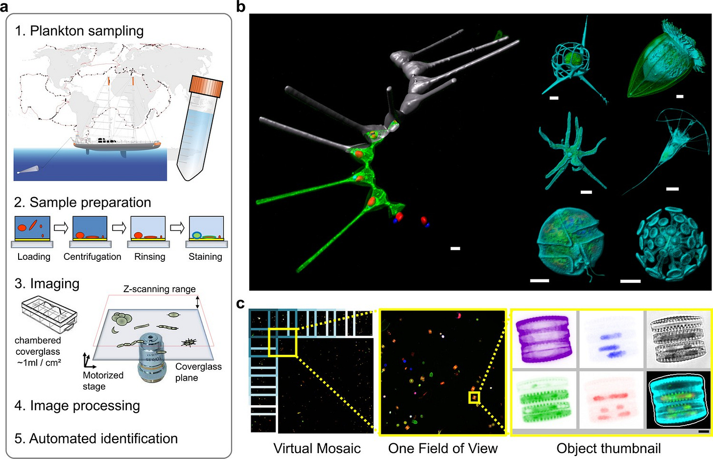 Figure 1 from paper Figure 1 from paper