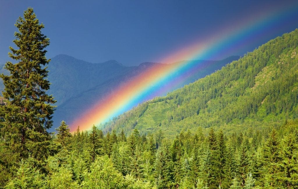 An Outlet For Grief In My Rainbow