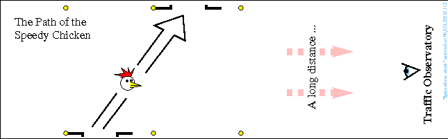 Diagram of the chicken crossing the road