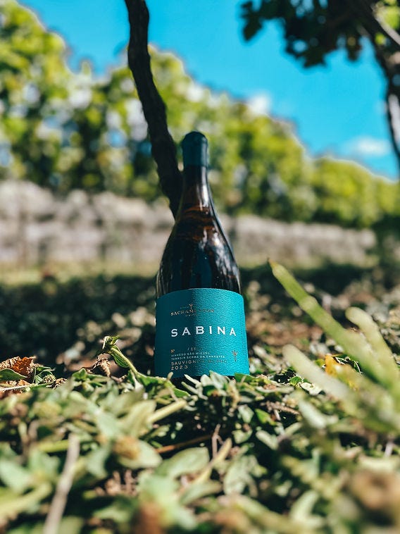 Sacramentos Vinifer lança Sabina Sauvignon Blanc, novo rótulo da ... Sacramentos Vinifer lança Sabina Sauvignon Blanc, novo rótulo da ...