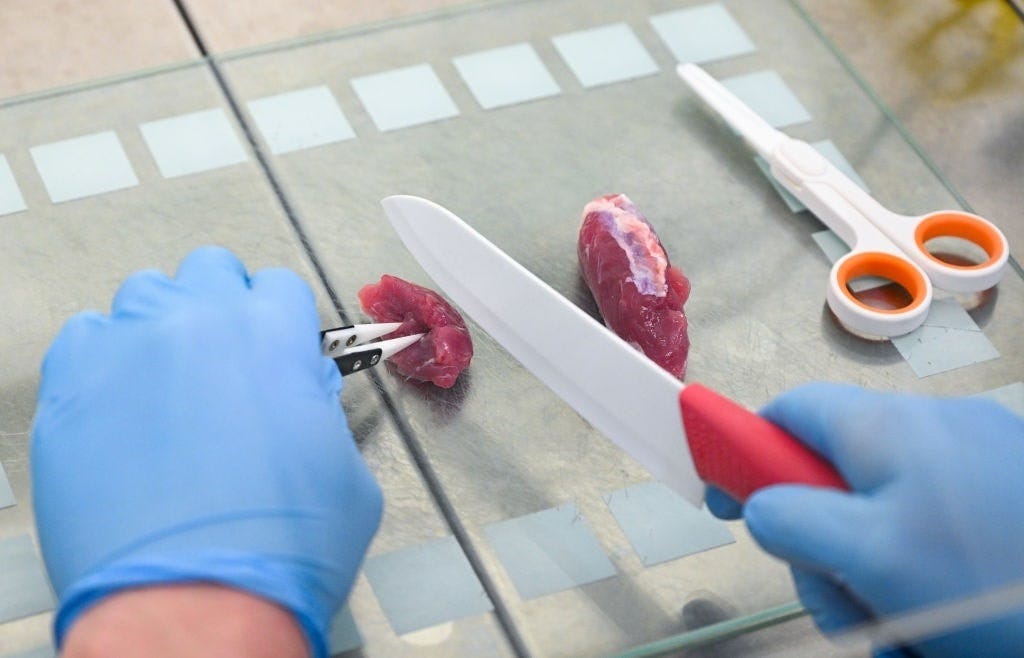 Is Fake Meat a Market Failure?