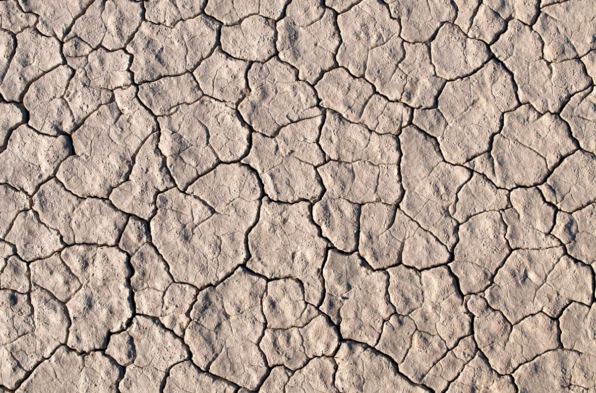 What your poo says about you - Dr Arif Hussenbux