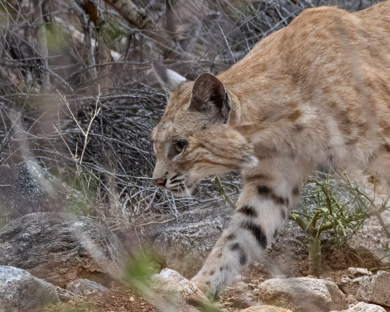 20250702-mby-85-Edit-Edit.jpg 20250702-mby-85-Edit-Edit.jpg