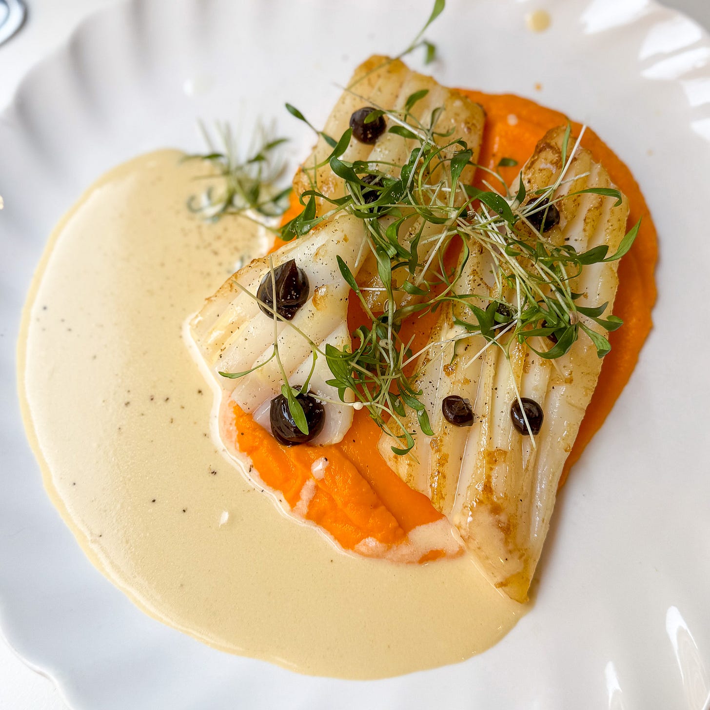 Roasted squid with carrot purée and citron confit sauce vin blanc at Argile, Paris 9th Roasted squid with carrot purée and citron confit sauce vin blanc at Argile, Paris 9th