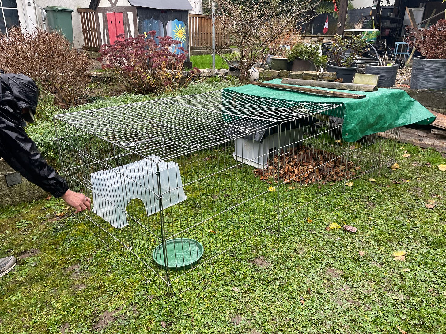 Cage with hedgehog food hut and sleeping hut