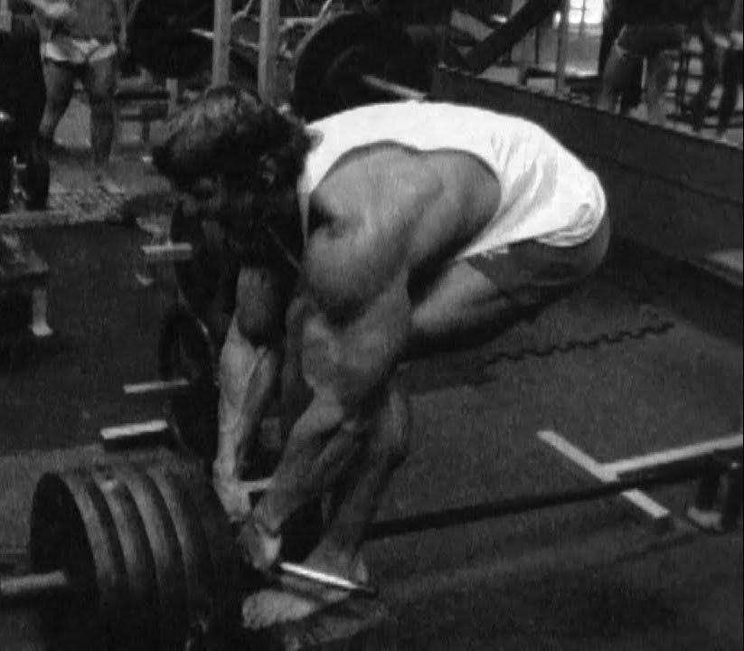 Arnold T-Bar Rows