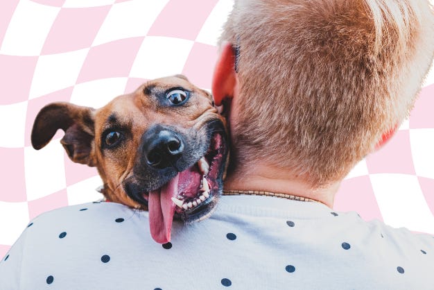 brown dog with tongue hanging out lays over shoulder of red-haired man